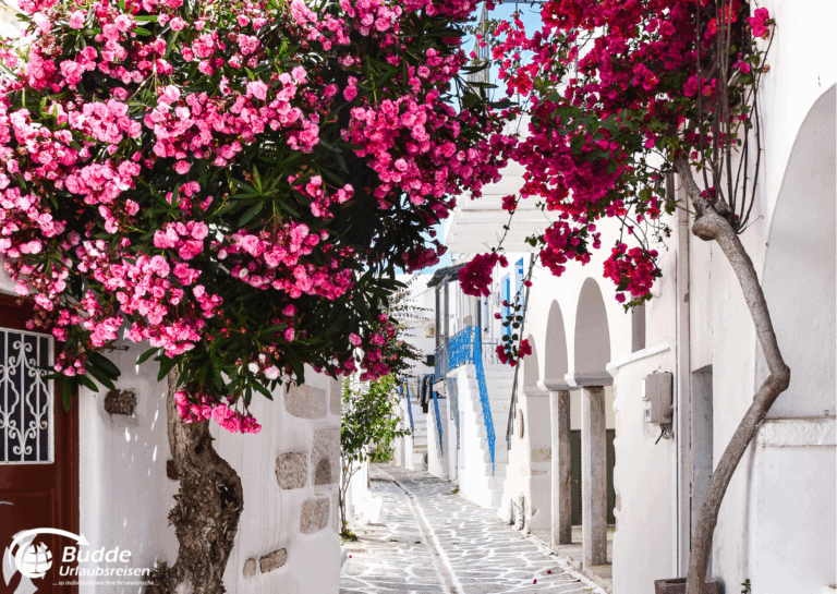 Romantische Blumenpracht in einem griechischen Dorf für den perfekten Liebesurlaub Griechenland.