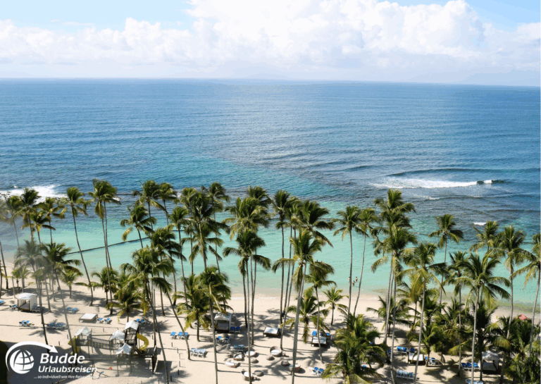 Jamaika Urlaub: Blick auf einen Strand mit Palmen und klarem Wasser in Jamaika. - buchbar im Reisebüro Budde Urlaubseisen