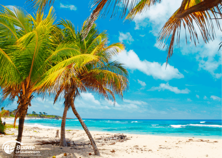 Jamaika Urlaub: Tropischer Strand mit grünen Palmen und klarem blauen Wasser unter einem bewölkten Himmel. - buchbar im Reisebüro Budde Urlaubseisen