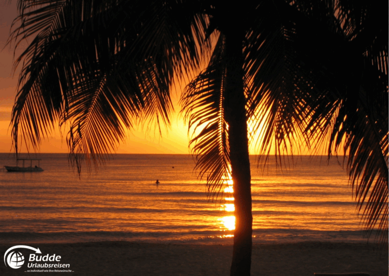Jamaika Urlaub: Sonnenuntergang über dem Meer mit Silhouette einer Palme im Vordergrund. - buchbar im Reisebüro Budde Urlaubseisen