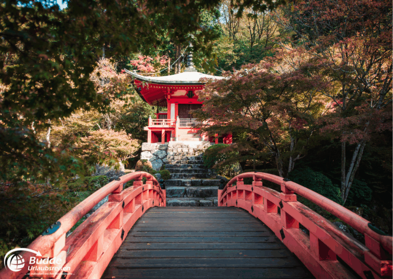 Japan Rundreise individuell – Daigoji Tempel in Kyoto bei Budde Urlaubsreisen