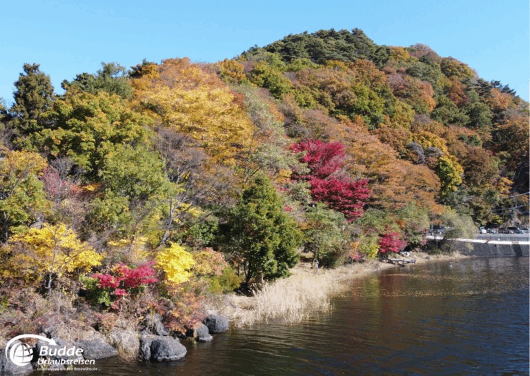 Japan Rundreise buchen – Herbstfarben in Fujikawaguchiko