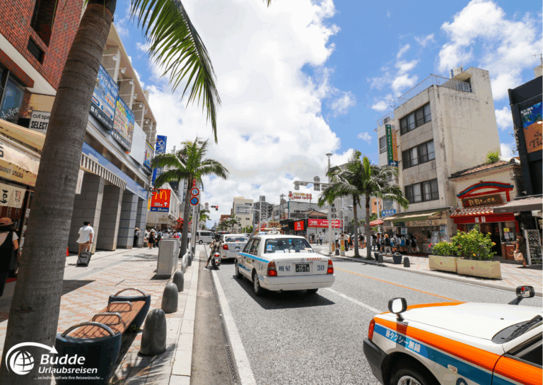 Japan Rundreise individuell – Okinawa Einkaufsstraße mit Palmen