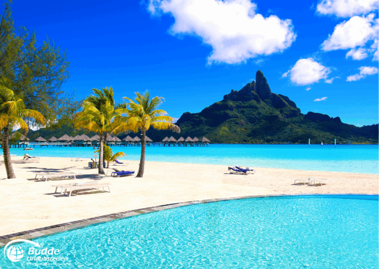 Strand mit Palmen und einem Berg im Hintergrund auf Bora Bora in Französisch-Polynesien. - Dein Luxusurlaub buchbar im Reisebüro Budde Urlaubseisen
