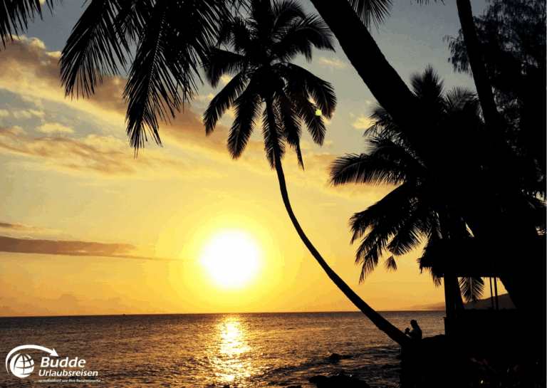 Sonnenuntergang über dem Meer mit Silhouetten von Palmen im Vordergrund. - Dein Luxusurlaub buchbar im Reisebüro Budde Urlaubseisen