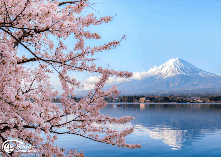 Blick auf den Fuji-Berg im Hintergrund mit Kirschblüten im Vordergrund und ruhigem Wasser. - Dein Luxusurlaub buchbar im Reisebüro Budde Urlaubseisen