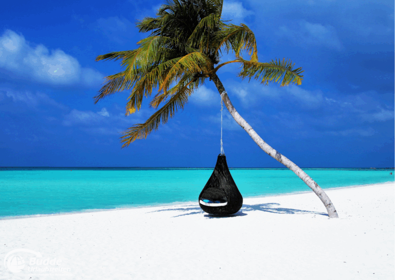 Schwarzer Hängesessel hängt an einer Palme am Strand mit türkisfarbenem Wasser im Hintergrund. - buchbar im Reisebüro Budde Urlaubseisen