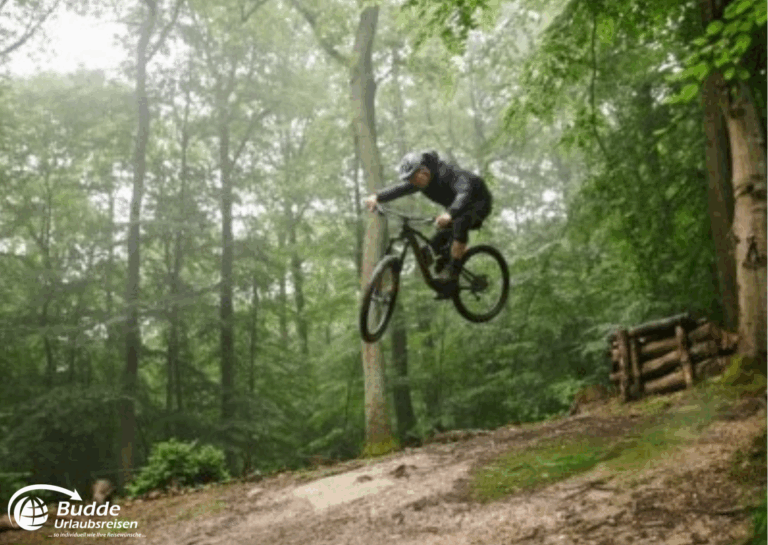 Urlaub an der Nahe: Mountainbiker in schwarzer Ausrüstung springt über einen Hügel in einem Waldgebiet. - buchbar im Reisebüro Budde Urlaubseisen