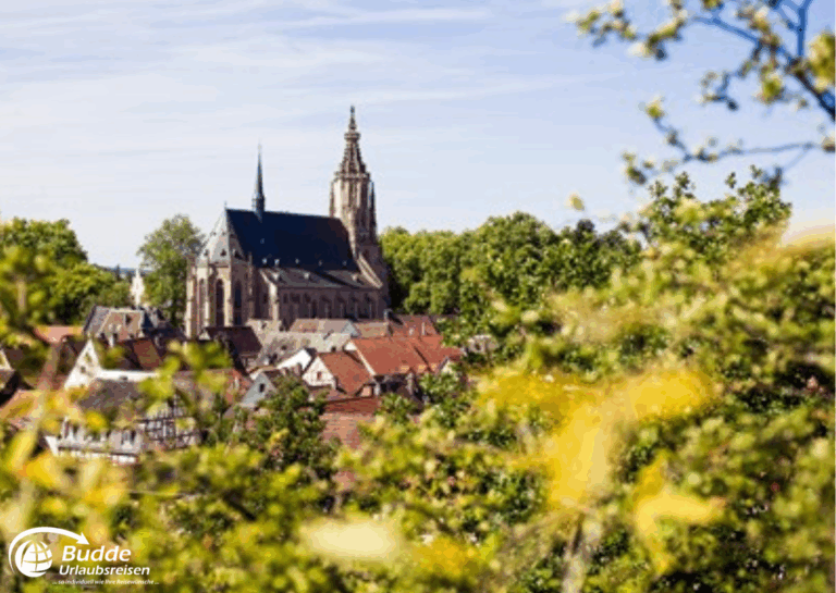 Urlaub Bad Kreuznach: Blick auf eine Kirche in Meisenheimumgeben von historischen Gebäuden und Bäumen. - buchbar im Reisebüro Budde Urlaubseisen
