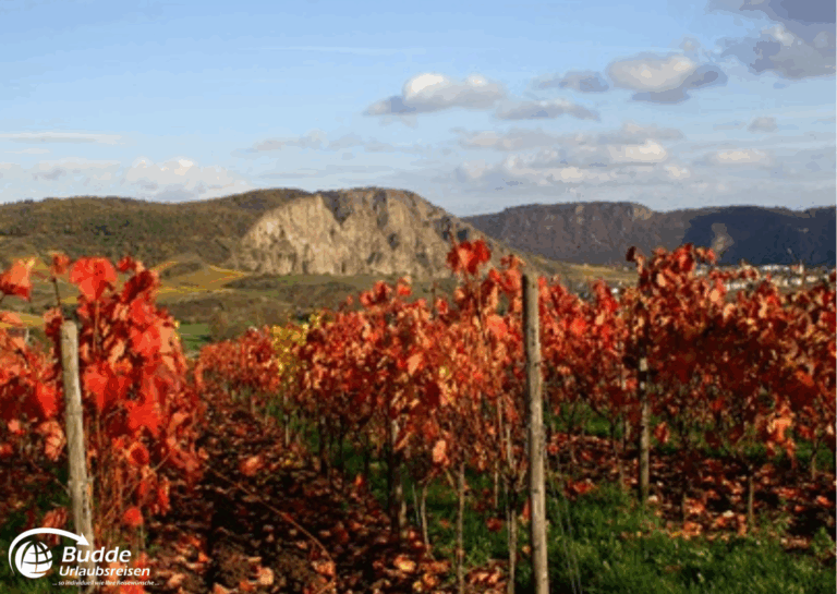 Urlaub an der Nahe: Weinreben mit roten Blättern in einem Weinberg bei Bad Kreuznach, im Hintergrund eine Felsformation. - buchbar im Reisebüro Budde Urlaubseisen
