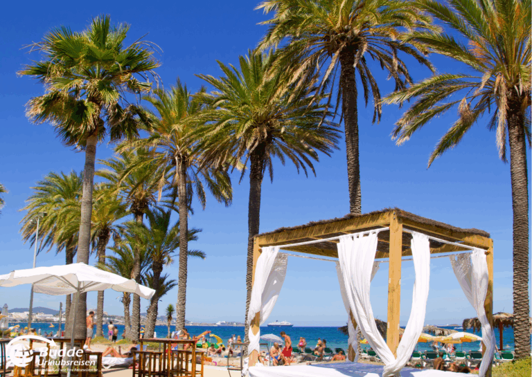 Mittelmeer per Schiff entdecken: Ein Strand mit Palmen und einem Pavillon aus weißen Stoffen auf Ibiza, Spanien. - buchbar im Reisebüro Budde Urlaubseisen