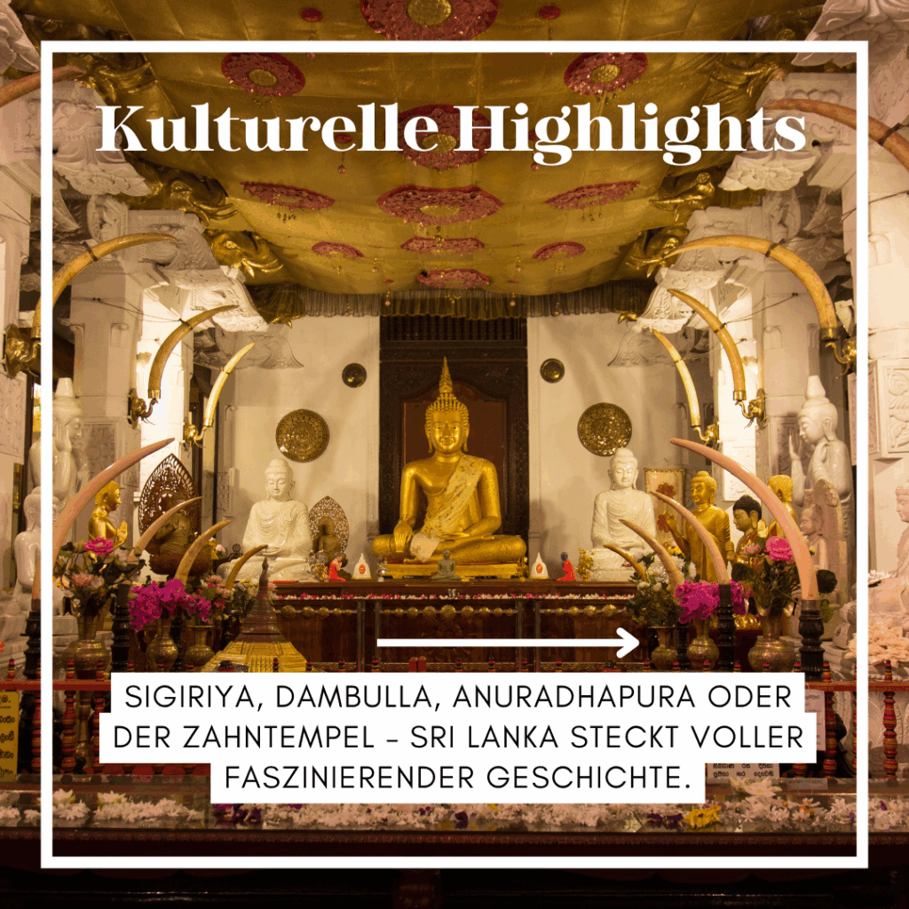 Buddhistische Statue in einem Tempel in Sri Lanka mit goldenen Verzierungen und Blumenarrangements. - Sri Lanka Rundreise buchen