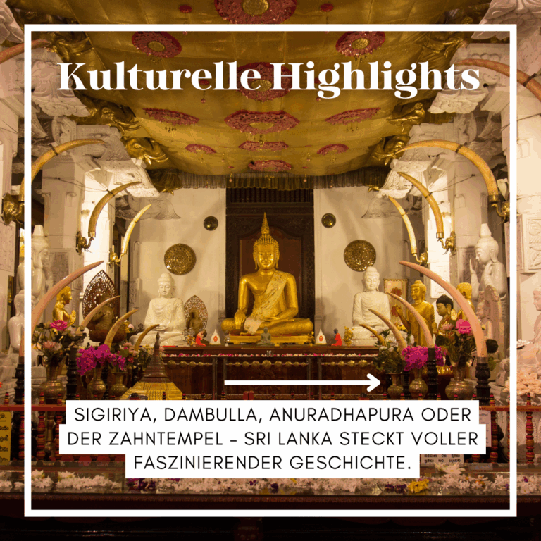 Buddhistische Statue in einem Tempel in Sri Lanka mit goldenen Verzierungen und Blumenarrangements. - Sri Lanka Rundreise buchen