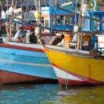 Drei bunte Fischerboote im Hafen mit mehreren Personen, die auf den Booten arbeiten. - Sri Lanka Urlaub buchen