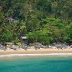 Eine Reihe von Fischerbooten am Strand in Sri Lanka, umgeben von üppigem Grün und Palmen. - Sri Lanka Urlaub buchen
