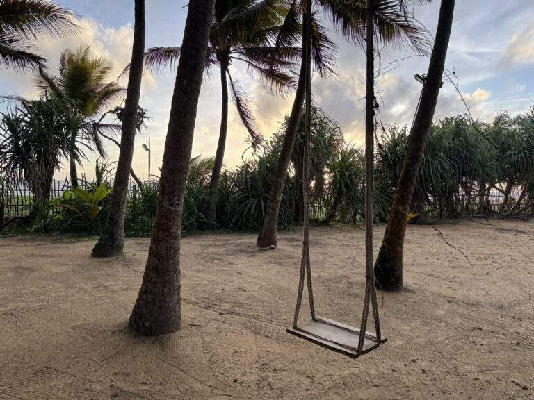 Sri Lanka Urlaub buchen: Eine hängende Schaukel zwischen zwei Palmen auf einem sandigen Boden. - buchbar im Reisebüro Budde Urlaubseisen