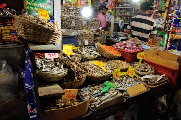 Marktstand mit verschiedenen Sorten von getrocknetem Fisch und Gewürzen in Körben und Kisten. - Sri Lanka Urlaub buchen