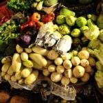 Bunte Auswahl an frischem Gemüse, darunter Kürbisse, Brokkoli und verschiedene Salate auf einem Markt. - Sri Lanka Urlaub buchen