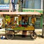 Ein mobiler Obststand mit verschiedenen Früchten, darunter Bananen und Äpfel, auf einer Straße in Sri Lanka. - Sri Lanka Urlaub buchen