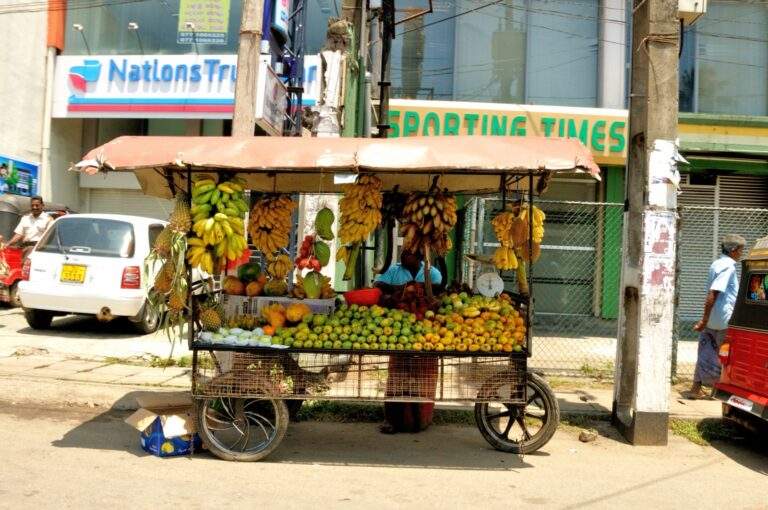 Ein mobiler Obststand mit verschiedenen Früchten, darunter Bananen und Äpfel, auf einer Straße in Sri Lanka. - Sri Lanka Urlaub buchen
