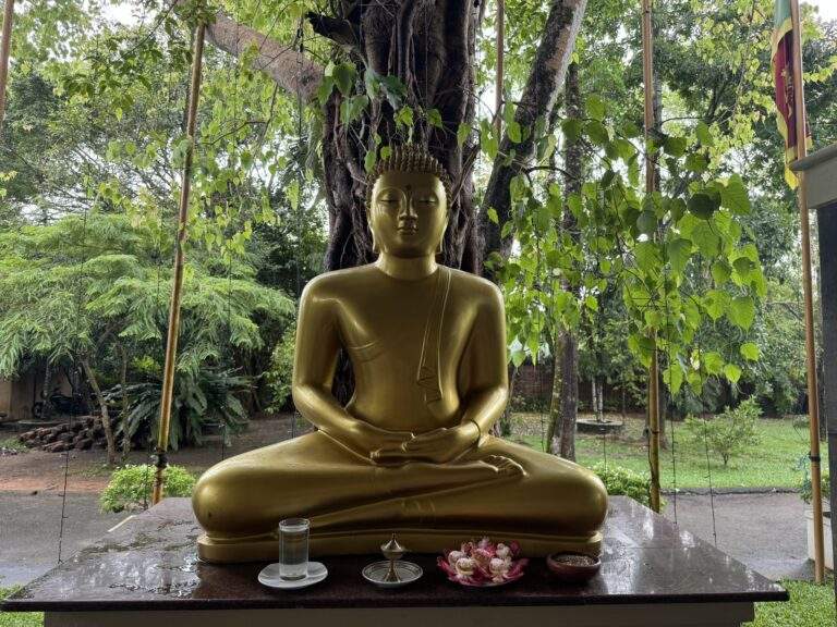 Sri Lanka Urlaub buchen: Goldene Buddha-Statue, die im Lotussitz unter einem Baum platziert ist, mit Blumen und Kerzen auf dem Tisch. - buchbar im Reisebüro Budde Urlaubseisen