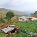 Landschaft mit einem beschädigten Gebäude und landwirtschaftlichen Flächen in einem hügeligen Gebiet. - Sri Lanka Urlaub buchen