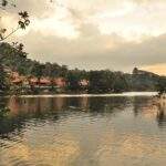 Ruhiger See mit reflektierender Wasseroberfläche und umgebenden Bäumen bei Sonnenuntergang. - Sri Lanka Urlaub buchen