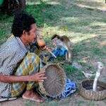 Ein Mann spielt eine Flöte, während ein Affe in der Nähe sitzt und eine Schlange beobachtet. - Sri Lanka Urlaub buchen