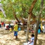 Menschen versammeln sich unter einem großen Baum in Sri Lanka, umgeben von bunten Fahnen. - Sri Lanka Urlaub buchen