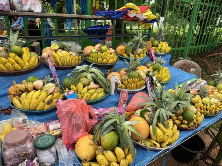 Sri Lanka Urlaub buchen: Tische mit verschiedenen Obstsorten, darunter Bananen, Ananas und Mangos, in Schalen angeordnet. - buchbar im Reisebüro Budde Urlaubseisen