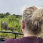 Nationalpark Elefanten Safari: Eine Person beobachtet zwei Elefanten in einem grünen Gebiet während einer Safari. - buchbar im Reisebüro Budde Urlaubseisen