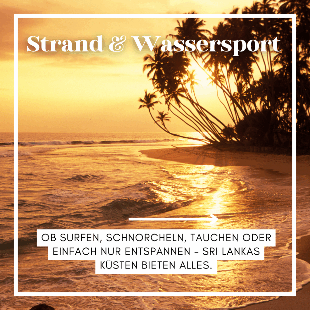 Sonnenuntergang über einem Strand in Sri Lanka mit sanften Wellen und Palmen im Hintergrund. - Sri Lanka Rundreise buchen