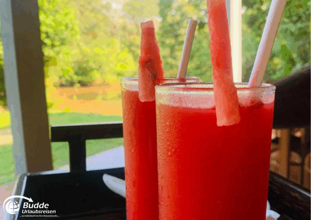 Praana Ayurvedic Boutique Hotel: Zwei Gläser mit Wassermelonen-Smoothies, dekoriert mit Melonenstücken und Strohhalmen. - buchbar im Reisebüro Budde Urlaubseisen