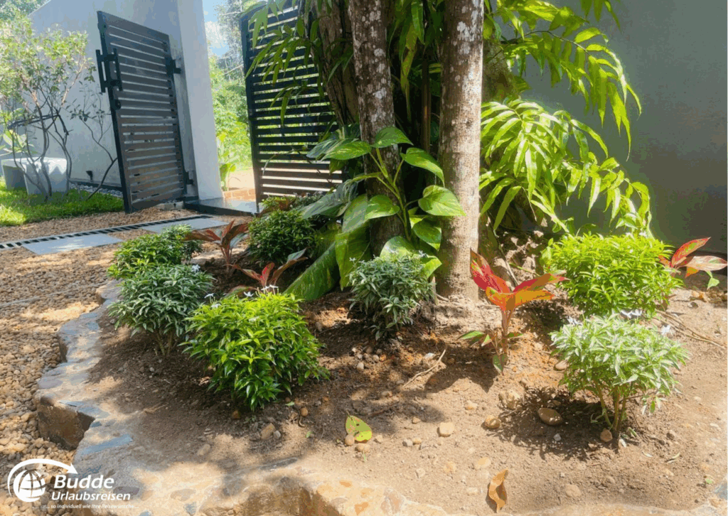 Gartenbereich mit verschiedenen Pflanzen und einem modernen Zugangstor aus Holz und Metall. - buchbar im Reisebüro Budde Urlaubseisen