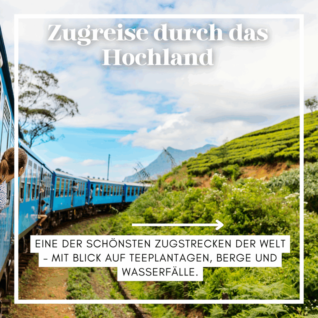 Blick auf einen Zug, der durch das Hochland von Sri Lanka fährt, umgeben von Teeplantagen. - Sri Lanka Rundreise buchen