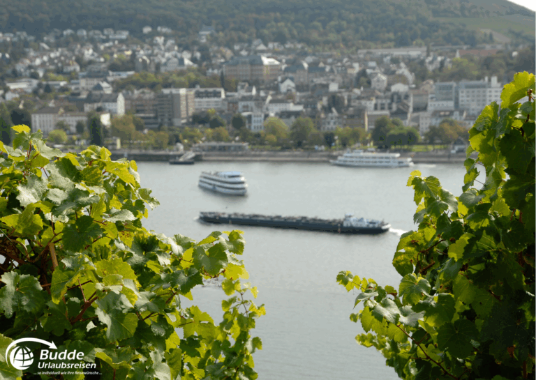Urlaub an der Nahe: Schiffe auf dem Rhein mit Weinreben im Vordergrund und einer Stadt im Hintergrund. - buchbar im Reisebüro Budde Urlaubseisen