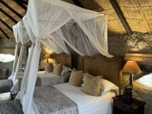 Safari-Abenteuer & Luxusmomente - perfekt geplant mit Budde Urlaubsreisen