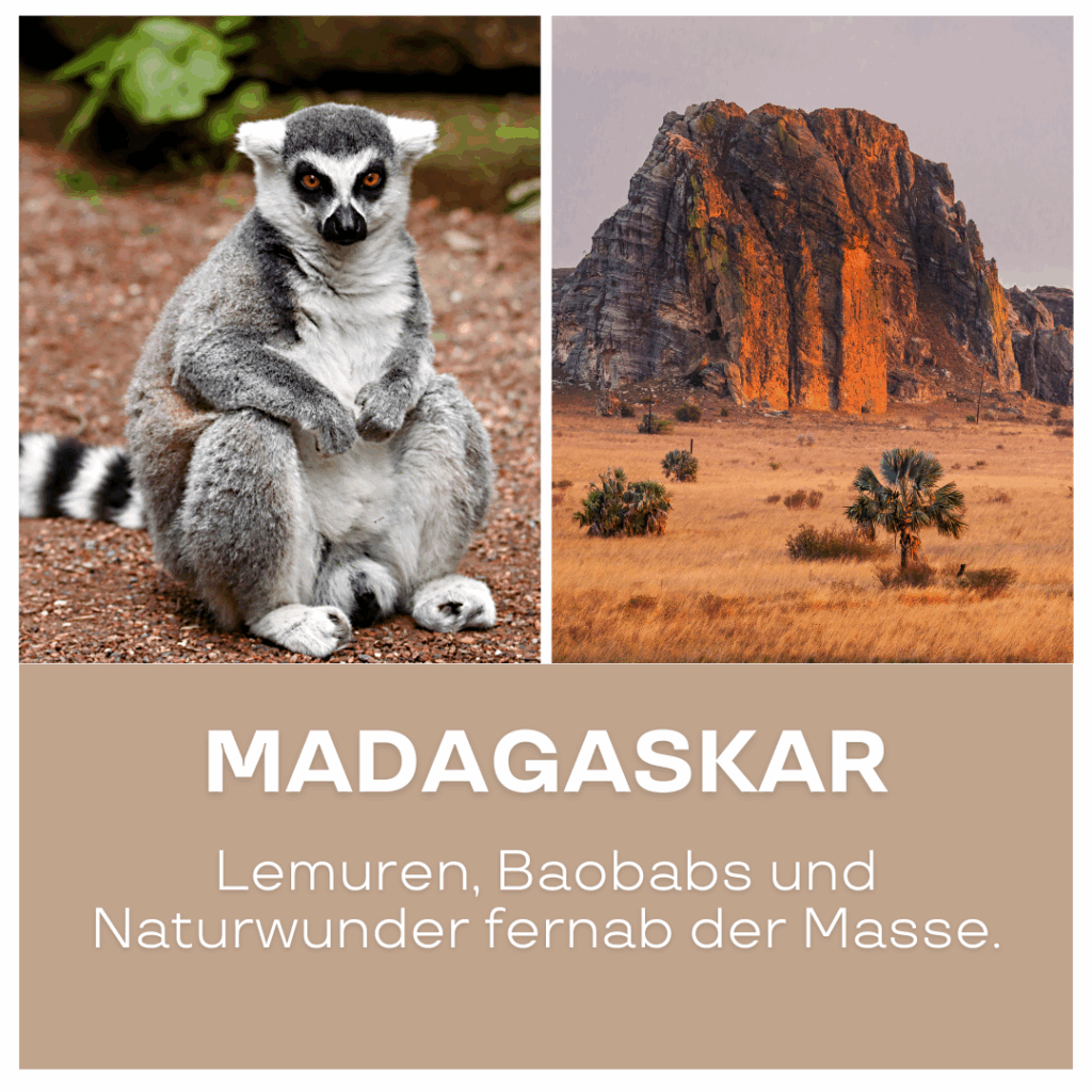 Ein Lemur sitzt auf dem Boden, umgeben von einer natürlichen Landschaft mit Baobab-Bäumen und Felsen. - Afrika Urlaub buchen
