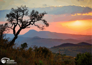 Kreuzfahrt Südafrika Ein einzelner Baum vor einem farbenfrohen Sonnenuntergang über den Hügeln in Südafrika.