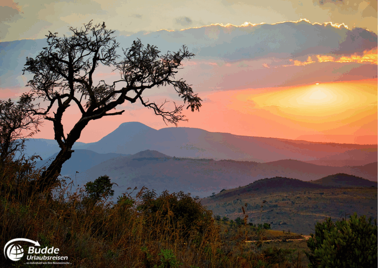 Kreuzfahrt Südafrika Ein einzelner Baum vor einem farbenfrohen Sonnenuntergang über den Hügeln in Südafrika.