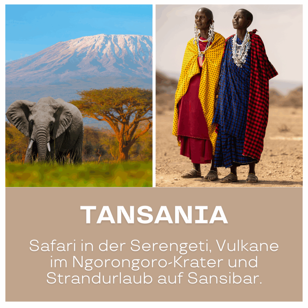 Ein Elefant in der Serengeti mit dem Kilimandscharo im Hintergrund. - Afrika Urlaub buchen