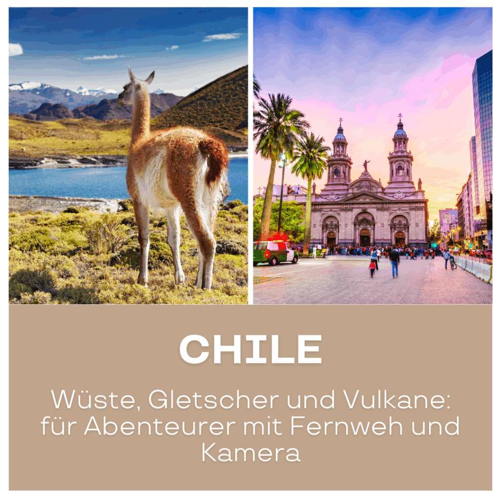 Reisetrends 2026: Ein Guanako in der Wüste Chiles neben einer Stadtansicht mit Gebäuden und Palmen.