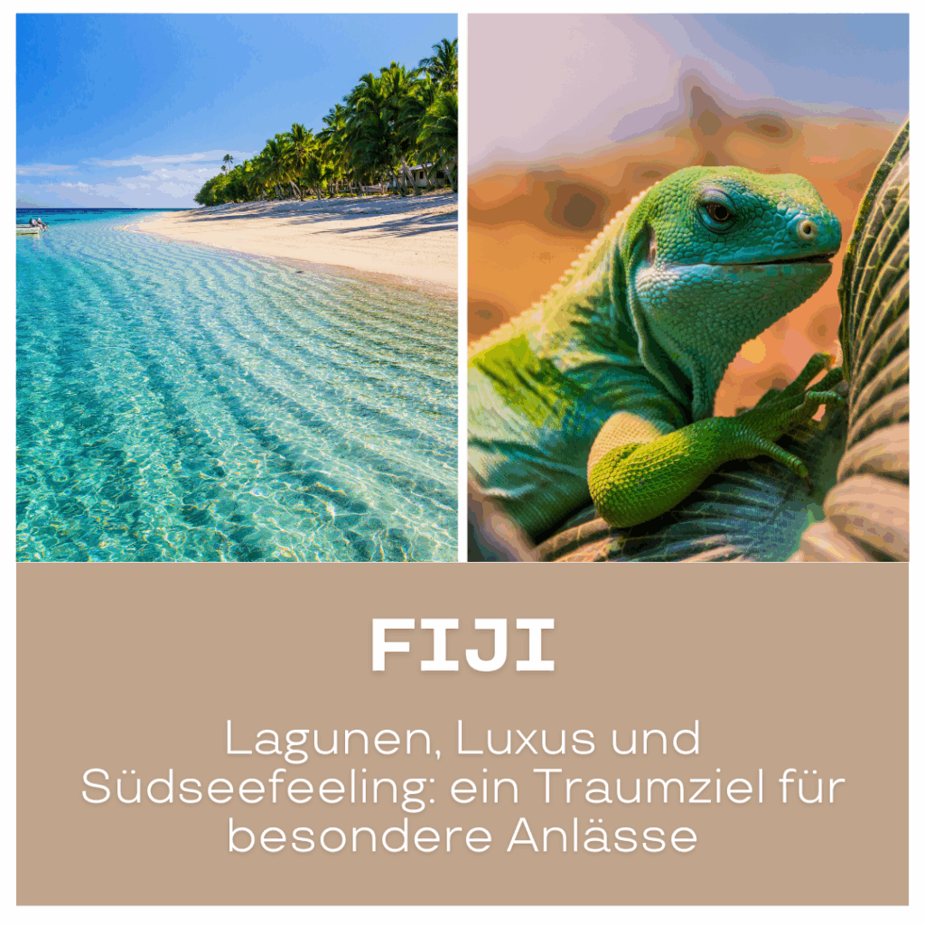 Reisetrends 2026: Kombination aus einem Strand in Fiji und einer grünen Eidechse auf einem Blatt.