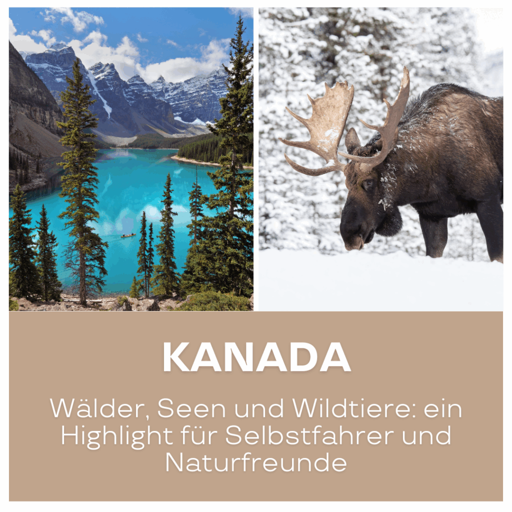 Reisetrends 2026: Landschaft in Kanada mit einem Elch und einem See umgeben von Bäumen und Bergen.