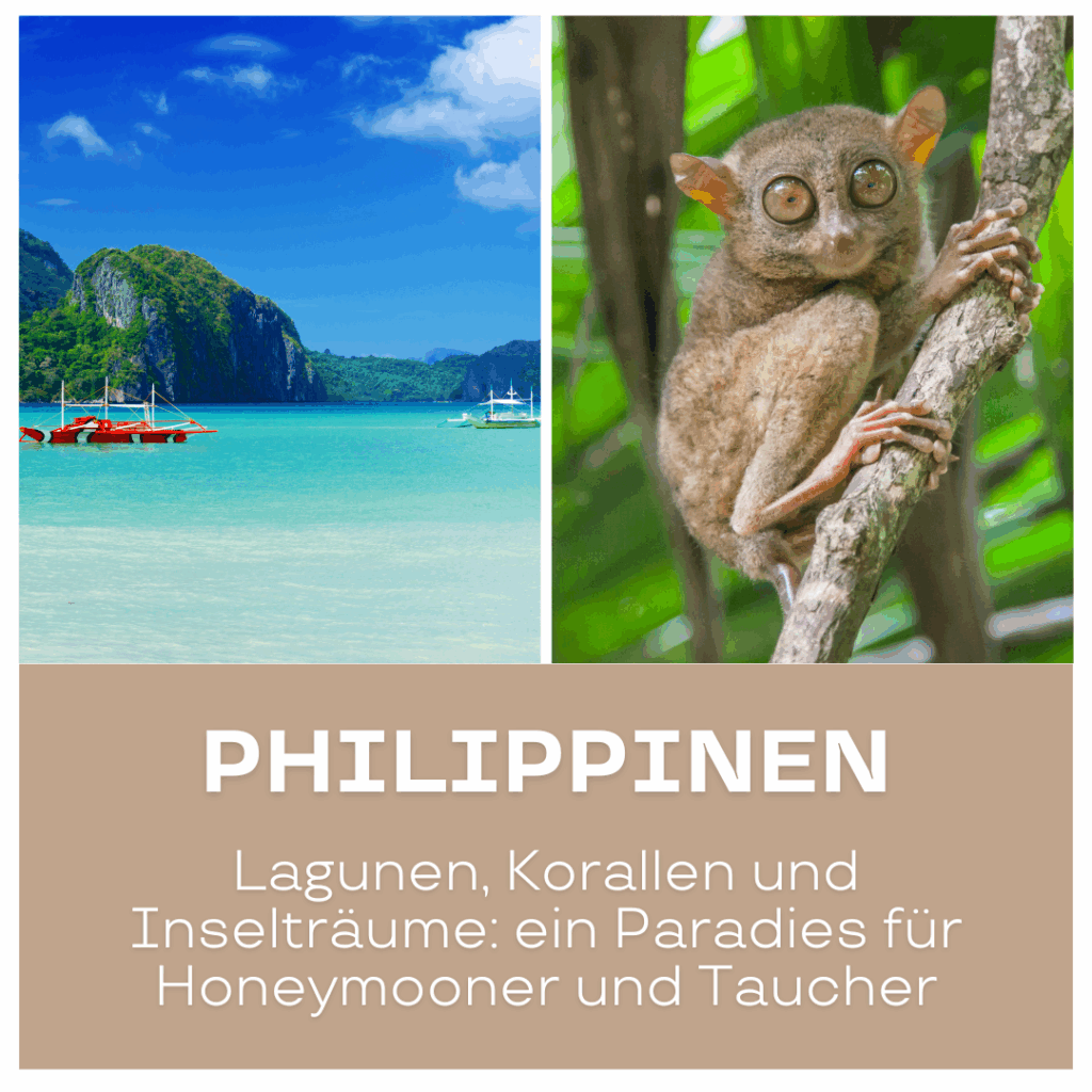 Reisetrends 2026: Bild von Lagunen und einem Tarsier auf den Philippinen, mit Booten im Wasser.