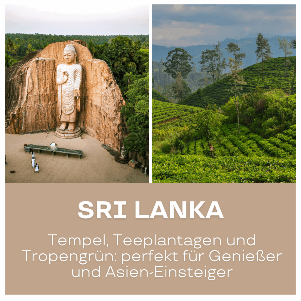 Reisetrends 2026: Buddha Statue in einer Felsnische und grüne Teeplantagen in Sri Lanka.