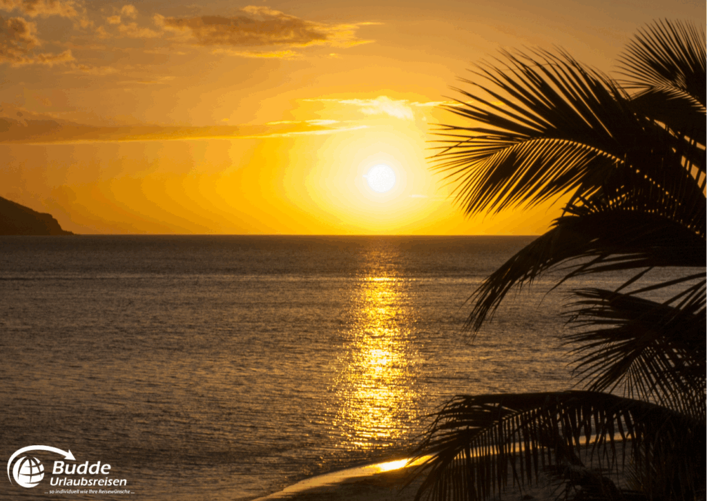 Reisetrends 2026: Sonnenuntergang über dem Meer mit reflektierendem Licht und Palmen im Vordergrund.