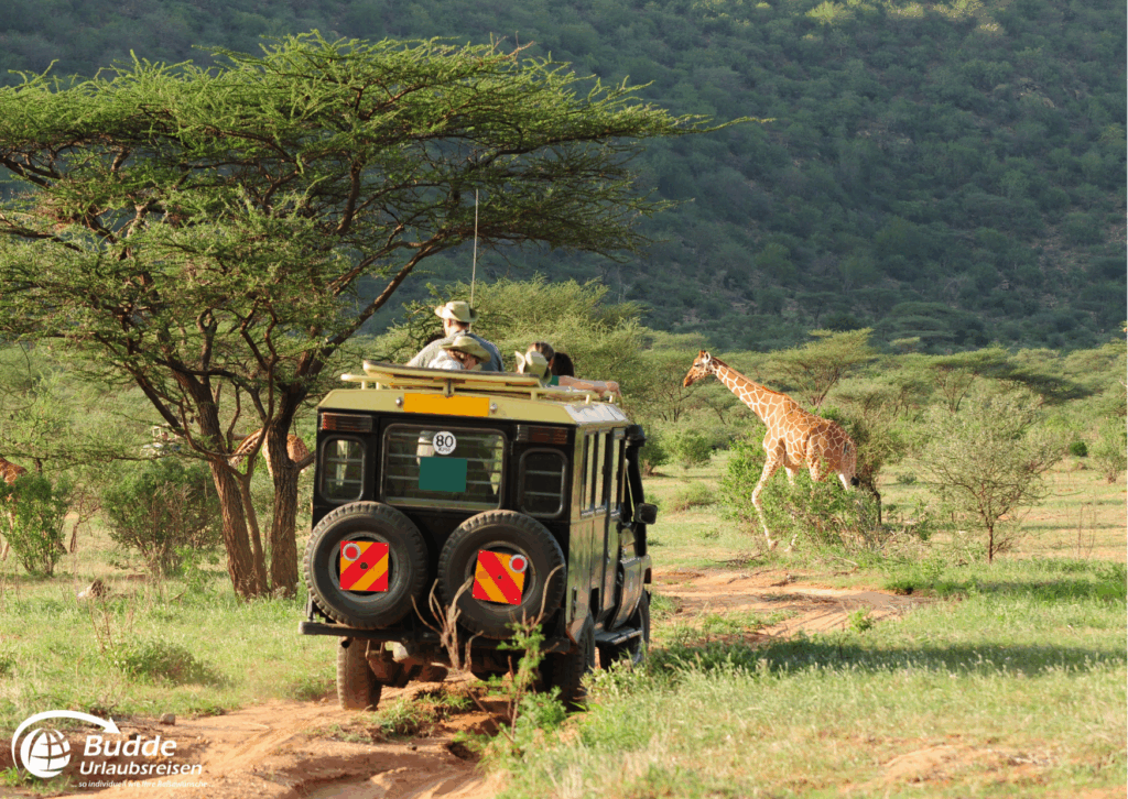 Reisetrends 2026: Ein gelbes Safari-Fahrzeug fährt durch die Landschaft, während eine Giraffe in der Nähe steht.
