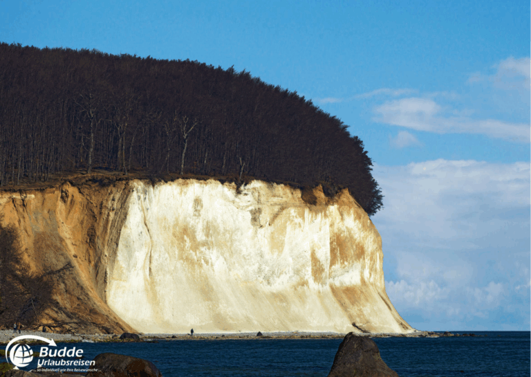 Ostseeurlaub Insel Rügen: Kreidefelsen an der Küste von Rügen mit bewaldetem Hang im Hintergrund.