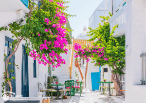 Strandurlaub Griechenland Insel Mykonos Bunte Bougainvillea-Pflanzen in einer Gasse mit weißen Gebäuden auf der Insel Mykonos.